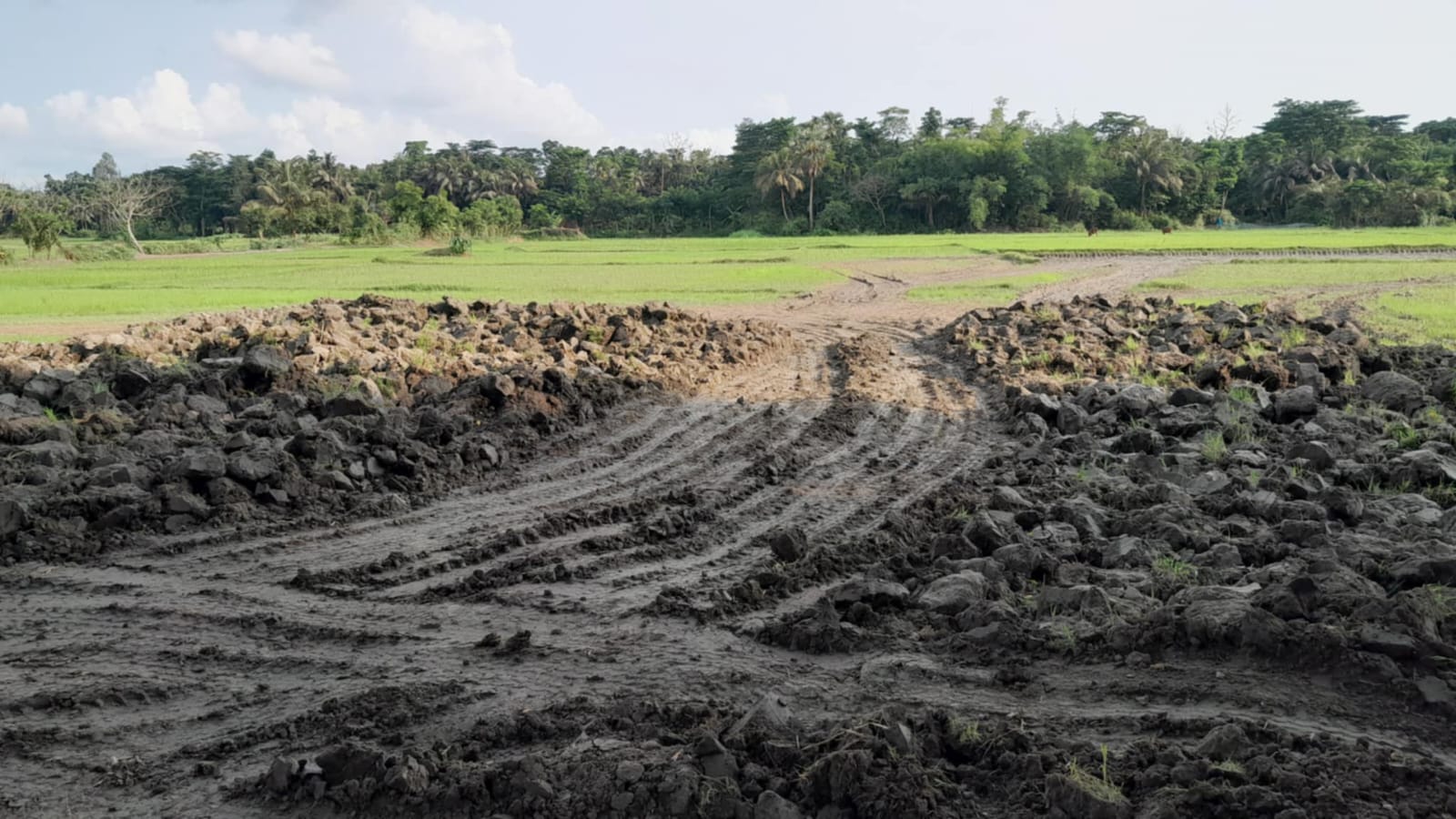লক্ষ্মীপুরের চন্দ্রগঞ্জে গণকবরস্থানে চাঁদাবাজির অভিযোগ