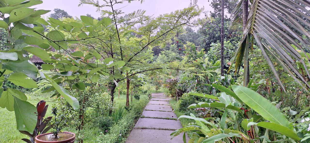 মিরসরাইয়ে গড়ে উঠছে ”‘মিয়াওয়াকি বন’” সহ প্রকৃতি পর্যটন কেন্দ্র।