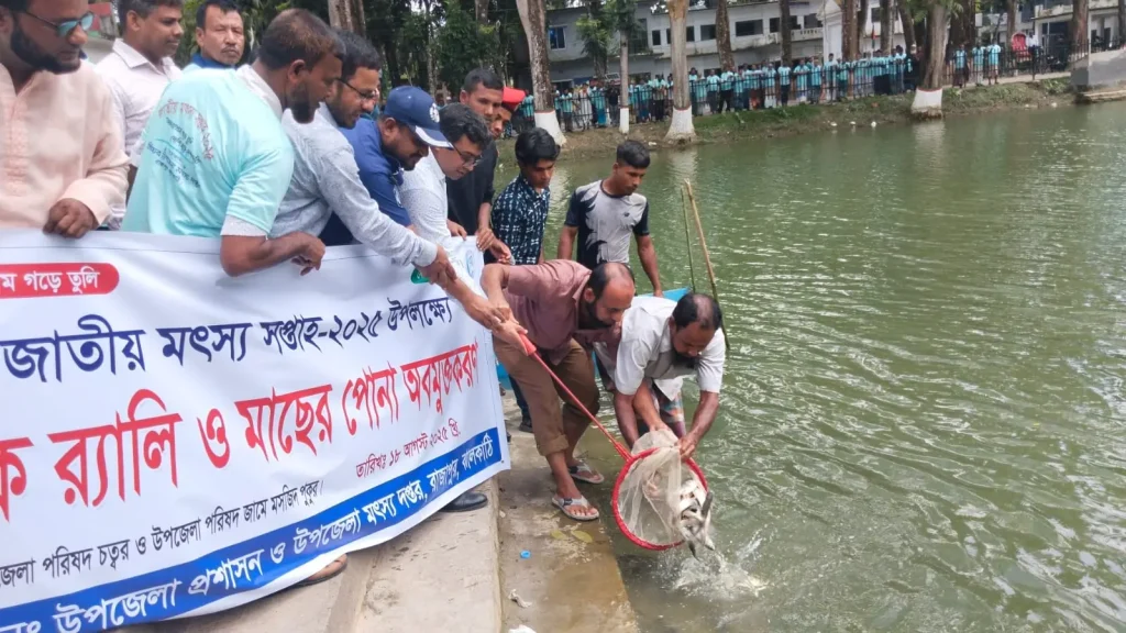 পুকুরে পোনা, সম্মানে সোনা—রাজাপুরে মৎস্য সপ্তাহে জেলেদের উৎসব