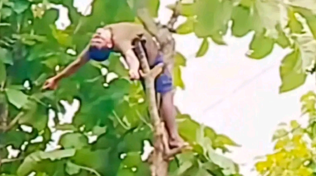 খাগড়াছড়িতে গাছের ডাল কাটতে গিয়ে বিদ্যুৎস্পৃষ্টে যুবকের মৃত্যু