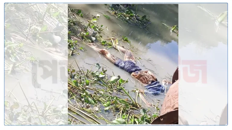যমুনা নদীতে ভেসে উঠলো মাথাবিহীন অজ্ঞাত লাশ!