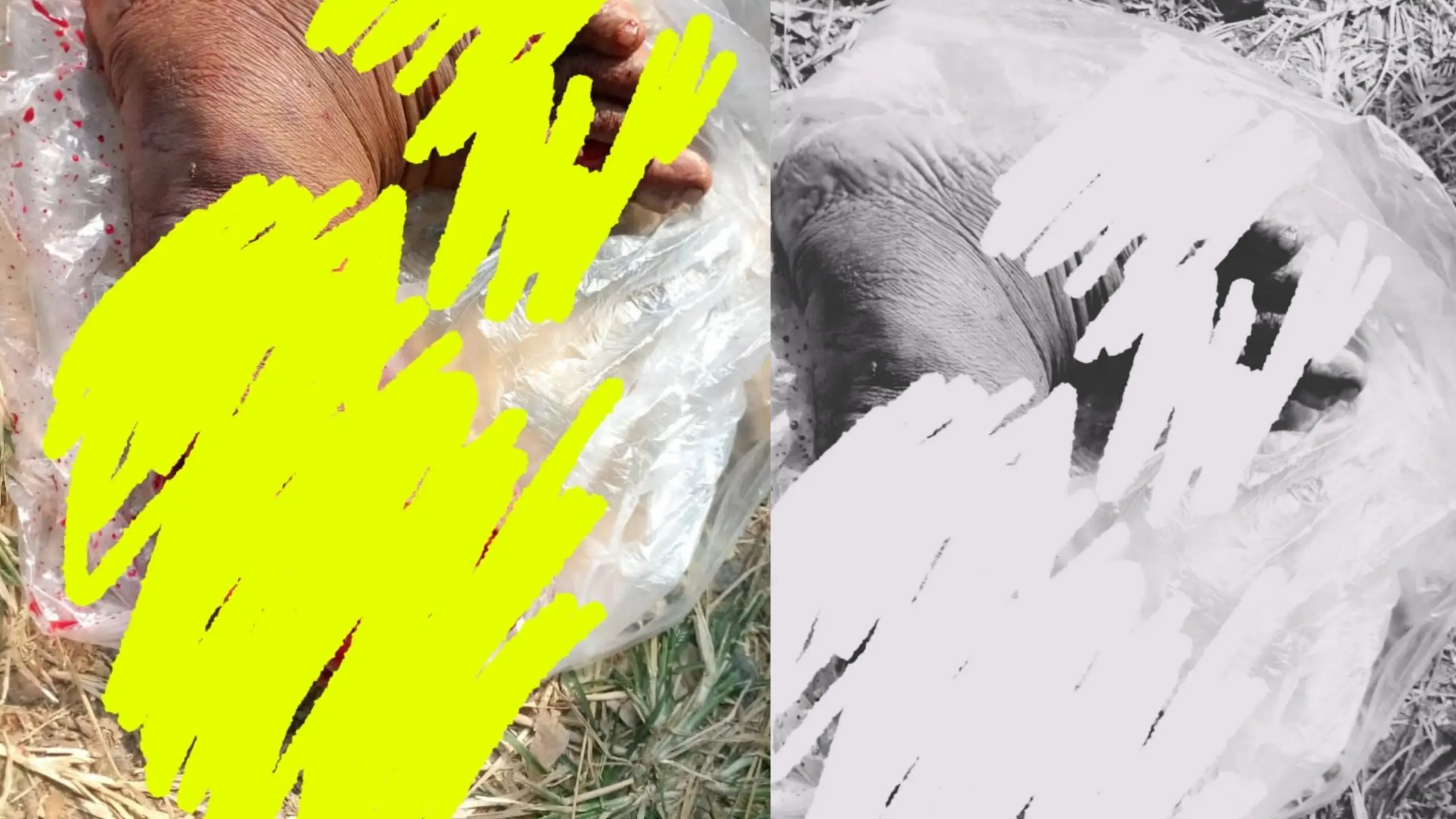তুরাগ নদের পাড়ে পরিত্যক্ত কার্টনে মানবদেহের খণ্ডিত পা উদ্ধার