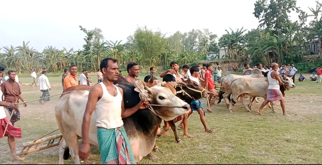 মাদারগঞ্জে জমজমাট মই দৌড় খেলা অনুষ্ঠিত
