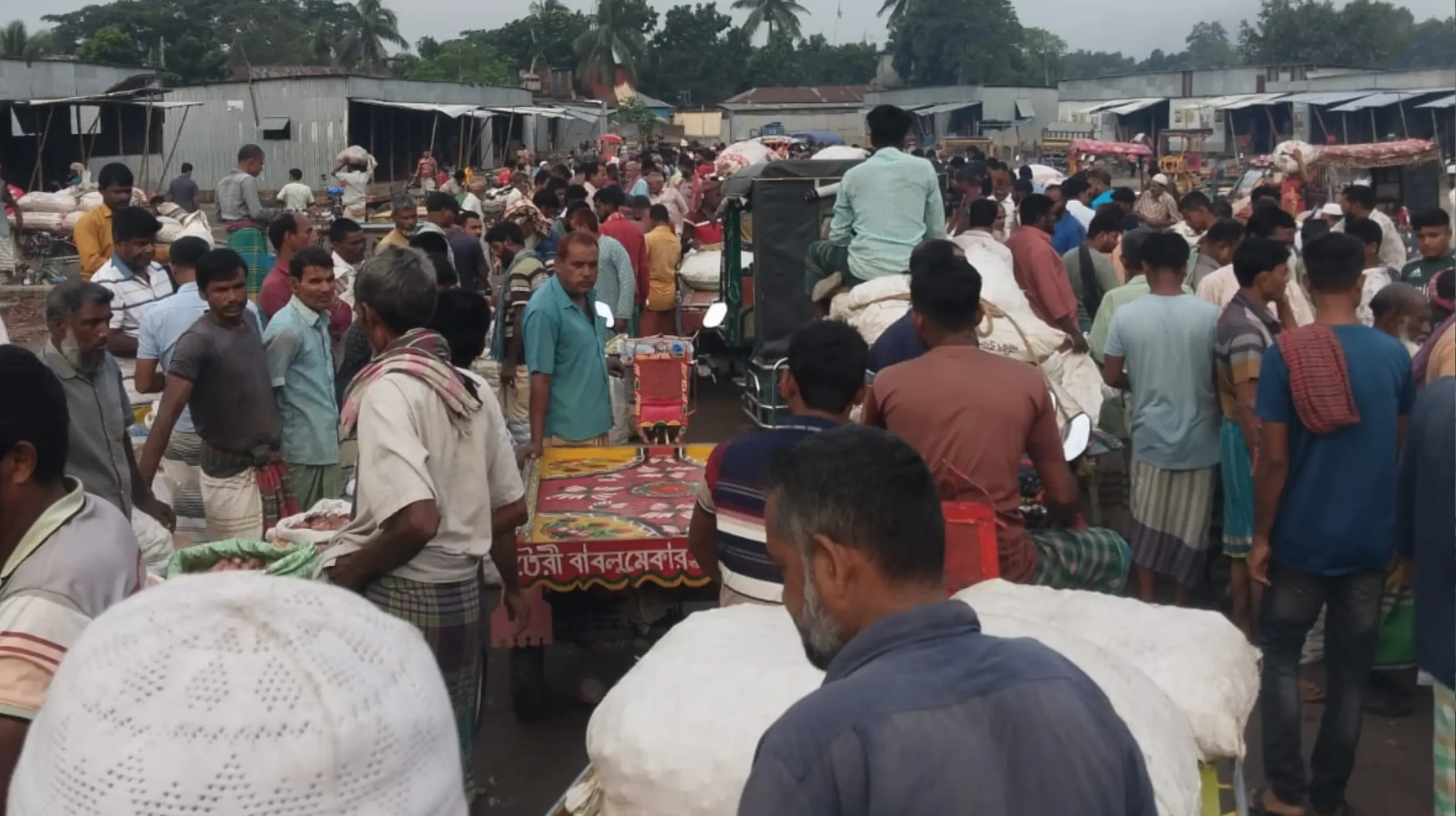 দামের অস্থিরতায় ন্যায্যমূল্য থেকে বঞ্চিত পাবনার পেঁয়াজচাষিরা