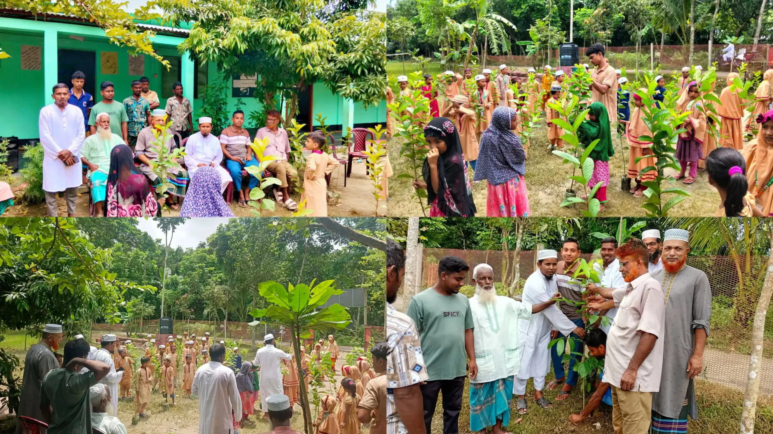 মসূয়ায় কামাল সরকারের উদ্যোগে নুরানী ক্যাডেট মাদ্রাসায় বৃক্ষরোপণ