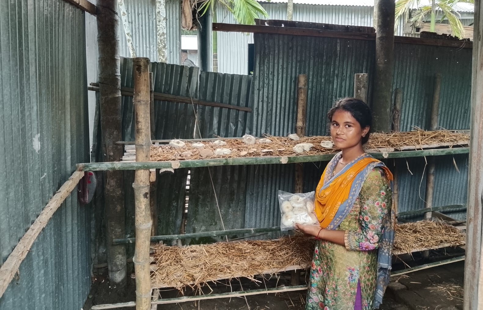 পড়াশোনার পাশাপাশি মাশরুম চাষে উদ্যেক্তা টুম্পা সেন