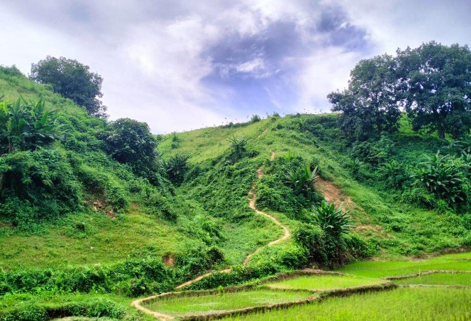 হারিয়াকোনা গ্রাম: গারো পাহাড়ের নিঝুম অরণ্যে হারিয়ে যাওয়ার গল্প